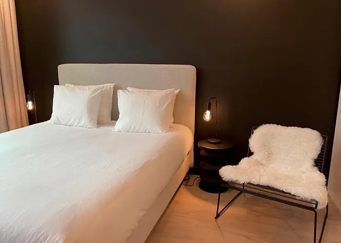 Daire Historic 3 Bedroom Art-nouveau With Airconditioning - Walk To Station Sint-pieters & Close To Centre Gent