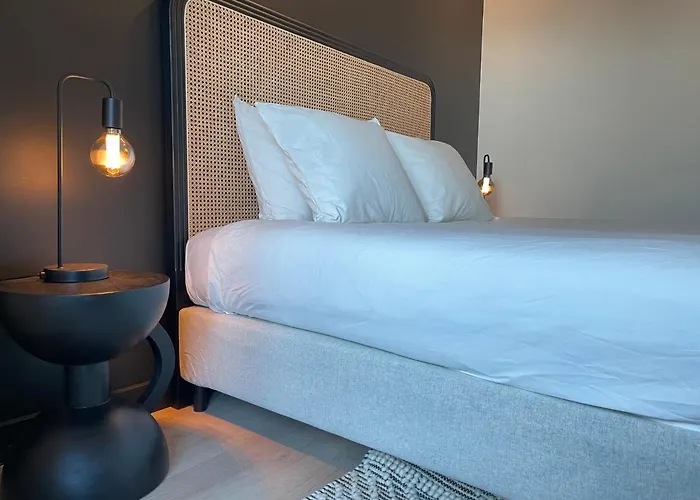 Historic 3 Bedroom Art-nouveau With Airconditioning - Walk To Station Sint-pieters & Close To Centre Gent