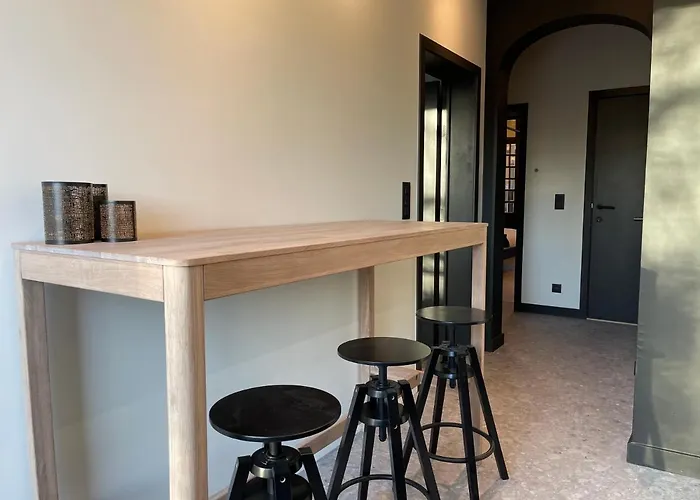 Historic 3 Bedroom Art-nouveau With Airconditioning - Walk To Station Sint-pieters & Close To Centre Daire