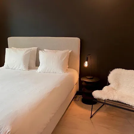 Apartment 3 Bedroom Art-nouveau With Free Parking Ghent